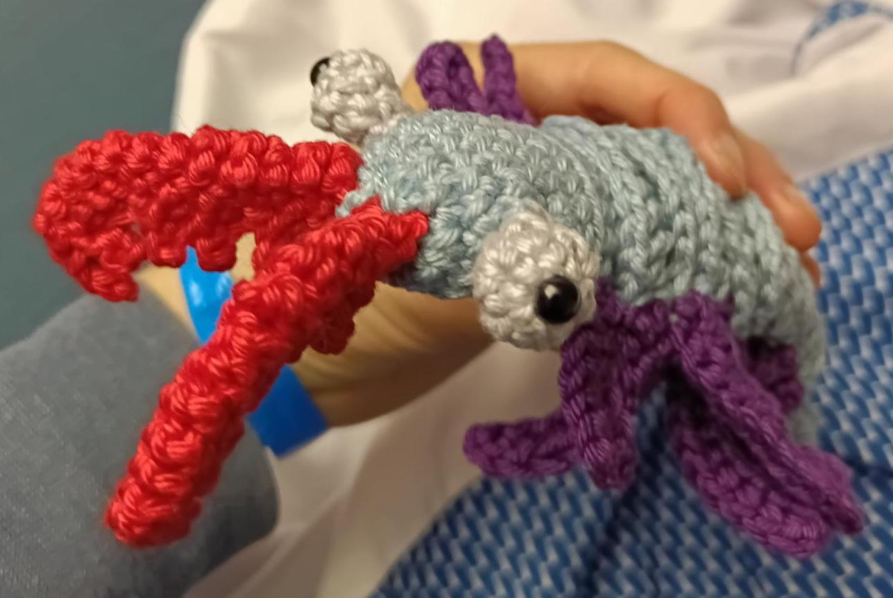 Une bestiole en crochet avec des mandibules rouges et plein de pattes violettes.