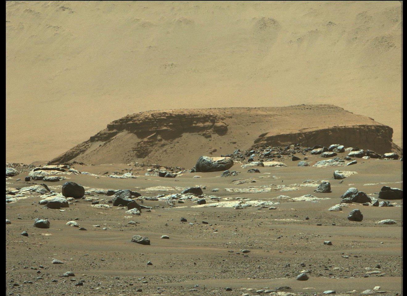 Kodiak formation on the surface of Mars seen by Perseverance.