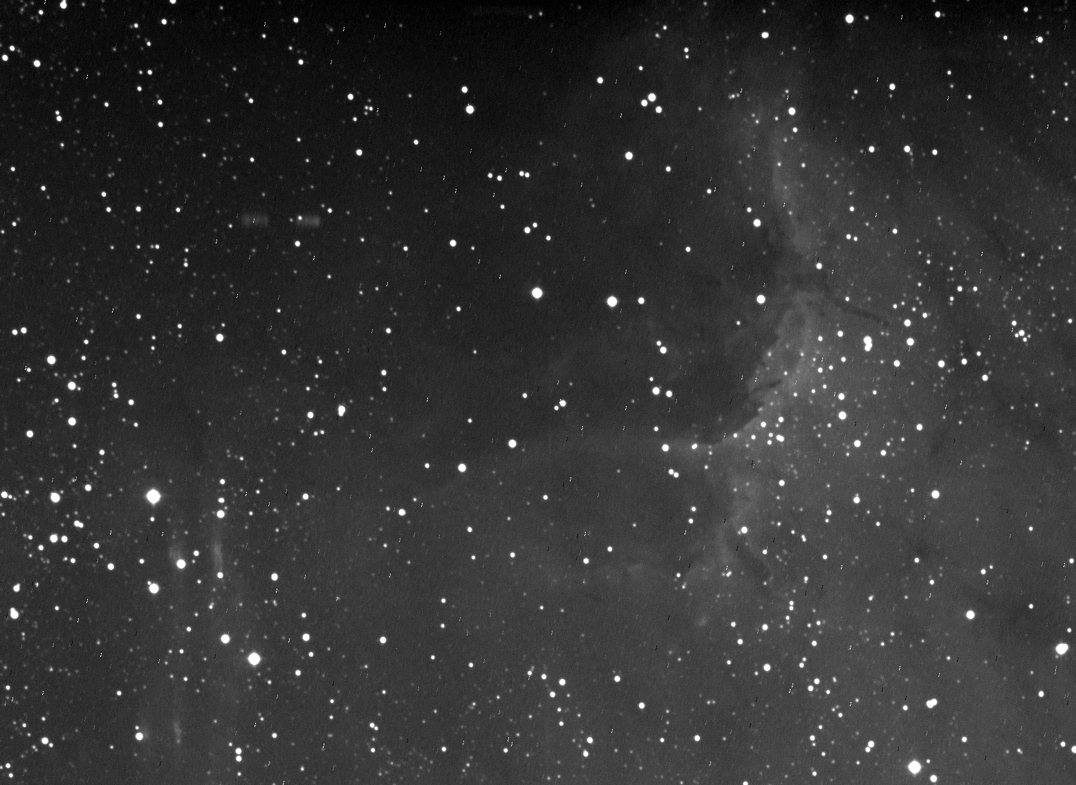 Le résultat de la nuit d'observation : une photo en noir et blanc de la nébuleuse du Pélican.